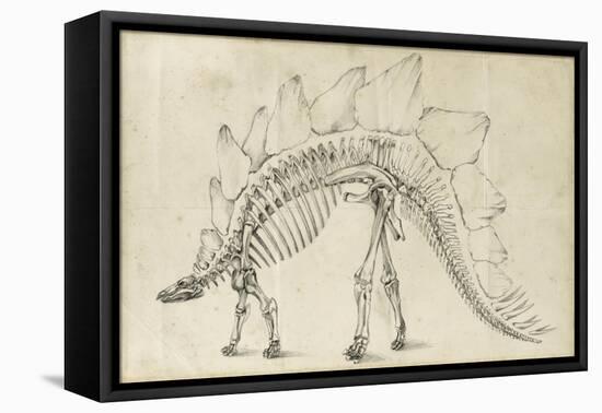 Dinosaur Study III-Ethan Harper-Framed Stretched Canvas