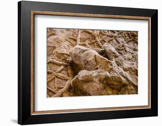 Dinosaur Tracks at Dinosaur Discovery, Johnson Farm, St. George, Utah-Michael DeFreitas-Framed Photographic Print