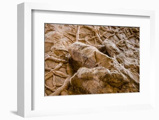 Dinosaur Tracks at Dinosaur Discovery, Johnson Farm, St. George, Utah-Michael DeFreitas-Framed Photographic Print