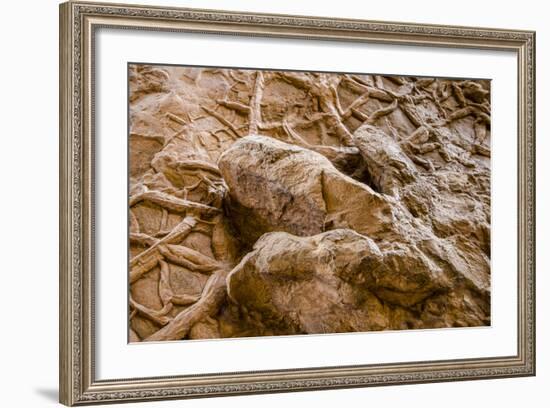 Dinosaur Tracks at Dinosaur Discovery, Johnson Farm, St. George, Utah-Michael DeFreitas-Framed Photographic Print