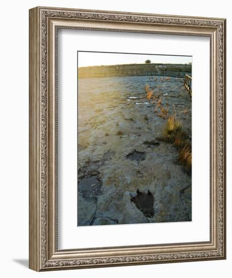 Dinosaur Tracks, Clayton Lake State Park, New Mexico, USA-Ethel Davies-Framed Photographic Print