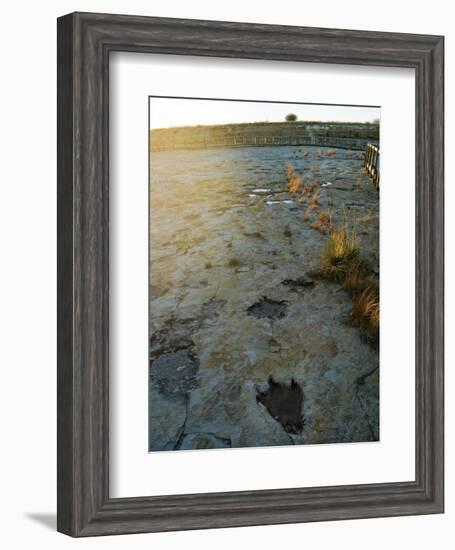 Dinosaur Tracks, Clayton Lake State Park, New Mexico, USA-Ethel Davies-Framed Photographic Print