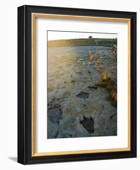 Dinosaur Tracks, Clayton Lake State Park, New Mexico, USA-Ethel Davies-Framed Photographic Print