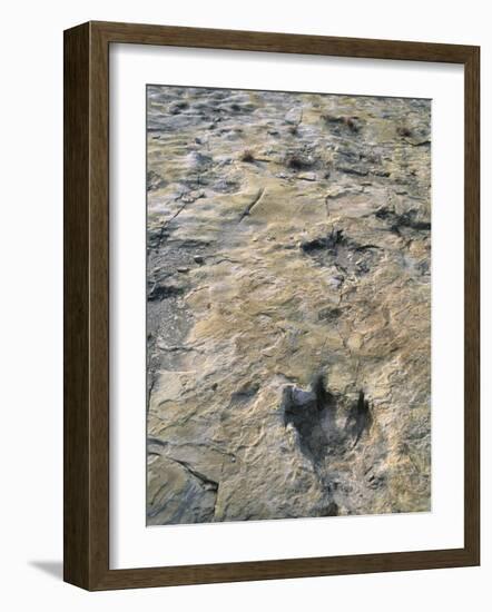 Dinosaur Trackway, Clayton Lake State Park, Clayton, New Mexico, USA-Michael Snell-Framed Photographic Print