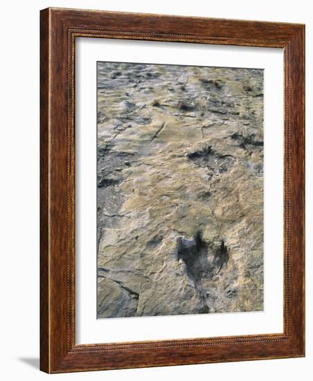 Dinosaur Trackway, Clayton Lake State Park, Clayton, New Mexico, USA-Michael Snell-Framed Photographic Print