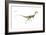 Dinosaur-Encyclopaedia Britannica-Framed Art Print