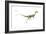 Dinosaur-Encyclopaedia Britannica-Framed Art Print