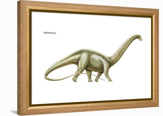 Dinosaur-Encyclopaedia Britannica-Framed Stretched Canvas