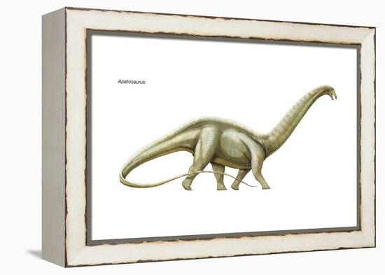 Dinosaur-Encyclopaedia Britannica-Framed Stretched Canvas