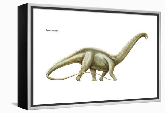 Dinosaur-Encyclopaedia Britannica-Framed Stretched Canvas