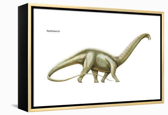 Dinosaur-Encyclopaedia Britannica-Framed Stretched Canvas