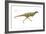 Dinosaur-Encyclopaedia Britannica-Framed Art Print