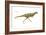 Dinosaur-Encyclopaedia Britannica-Framed Art Print