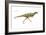 Dinosaur-Encyclopaedia Britannica-Framed Art Print