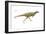 Dinosaur-Encyclopaedia Britannica-Framed Art Print