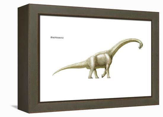 Dinosaur-Encyclopaedia Britannica-Framed Stretched Canvas