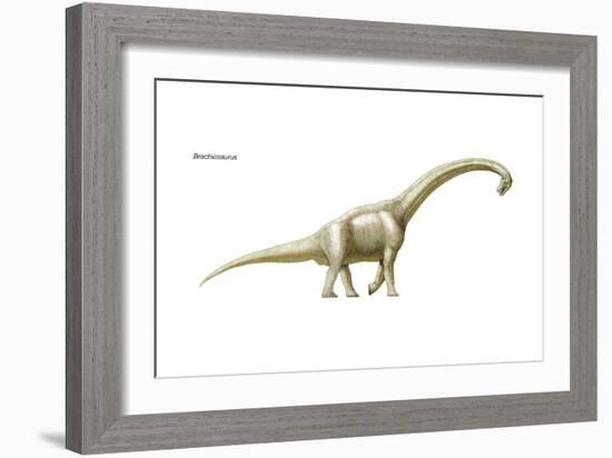 Dinosaur-Encyclopaedia Britannica-Framed Art Print