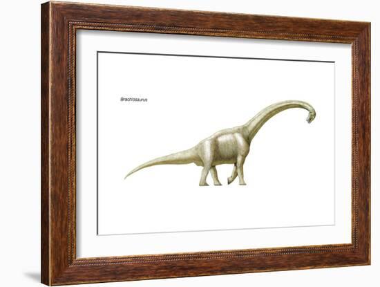 Dinosaur-Encyclopaedia Britannica-Framed Art Print