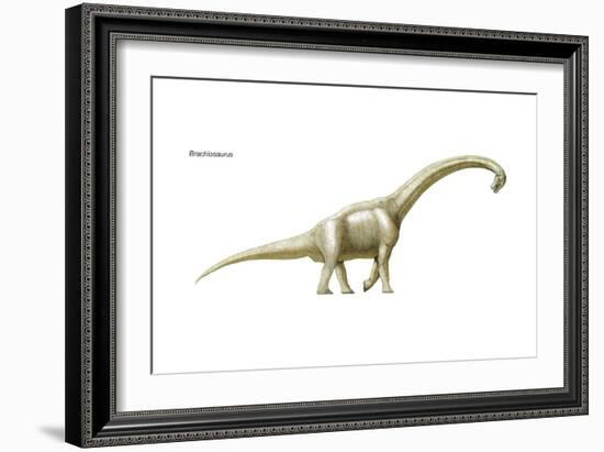 Dinosaur-Encyclopaedia Britannica-Framed Art Print