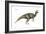 Dinosaur-Encyclopaedia Britannica-Framed Art Print