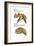 Dinosaur-Encyclopaedia Britannica-Framed Art Print