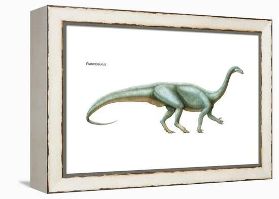 Dinosaur-Encyclopaedia Britannica-Framed Stretched Canvas