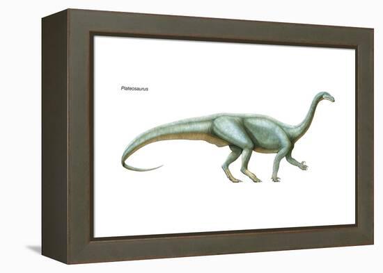 Dinosaur-Encyclopaedia Britannica-Framed Stretched Canvas