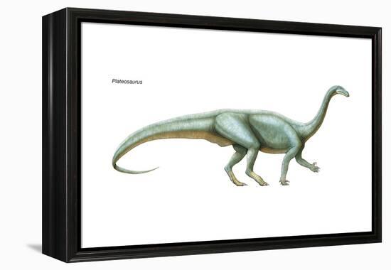 Dinosaur-Encyclopaedia Britannica-Framed Stretched Canvas