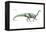 Dinosaur-Encyclopaedia Britannica-Framed Stretched Canvas