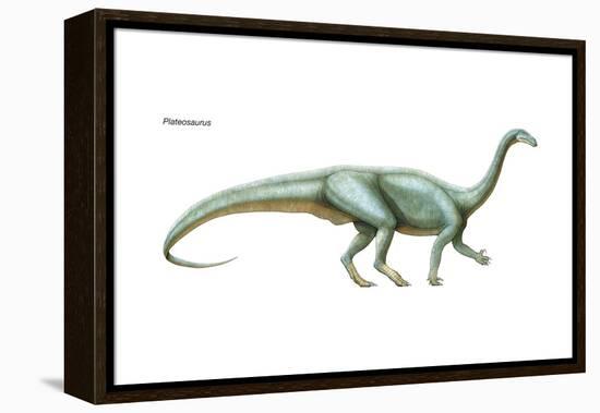 Dinosaur-Encyclopaedia Britannica-Framed Stretched Canvas