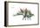 Dinosaur-Encyclopaedia Britannica-Framed Stretched Canvas