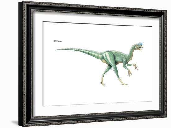 Dinosaur-Encyclopaedia Britannica-Framed Art Print