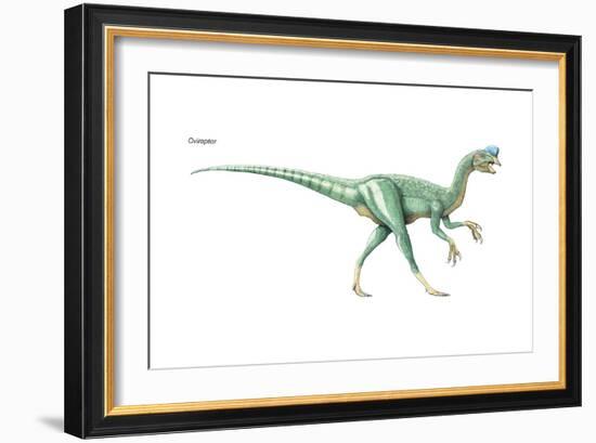 Dinosaur-Encyclopaedia Britannica-Framed Art Print