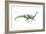 Dinosaur-Encyclopaedia Britannica-Framed Art Print