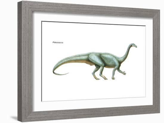 Dinosaur-Encyclopaedia Britannica-Framed Art Print