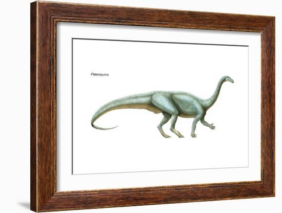 Dinosaur-Encyclopaedia Britannica-Framed Art Print