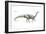 Dinosaur-Encyclopaedia Britannica-Framed Art Print