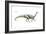 Dinosaur-Encyclopaedia Britannica-Framed Art Print