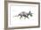 Dinosaur-Encyclopaedia Britannica-Framed Art Print