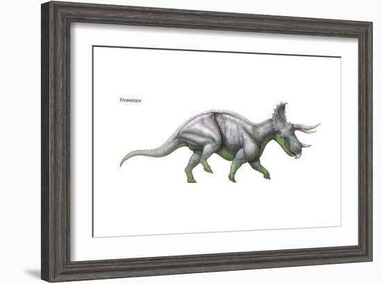 Dinosaur-Encyclopaedia Britannica-Framed Art Print