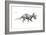 Dinosaur-Encyclopaedia Britannica-Framed Art Print