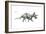 Dinosaur-Encyclopaedia Britannica-Framed Art Print