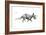 Dinosaur-Encyclopaedia Britannica-Framed Art Print