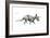 Dinosaur-Encyclopaedia Britannica-Framed Art Print