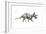 Dinosaur-Encyclopaedia Britannica-Framed Art Print