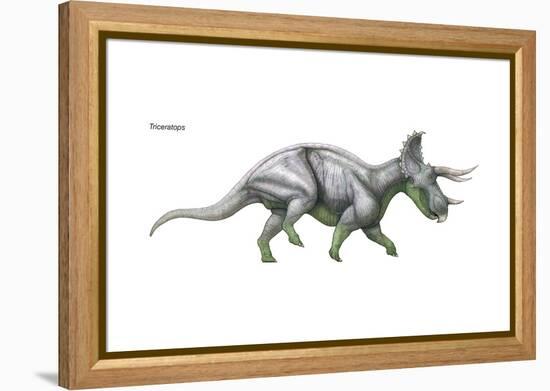 Dinosaur-Encyclopaedia Britannica-Framed Stretched Canvas