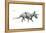 Dinosaur-Encyclopaedia Britannica-Framed Stretched Canvas