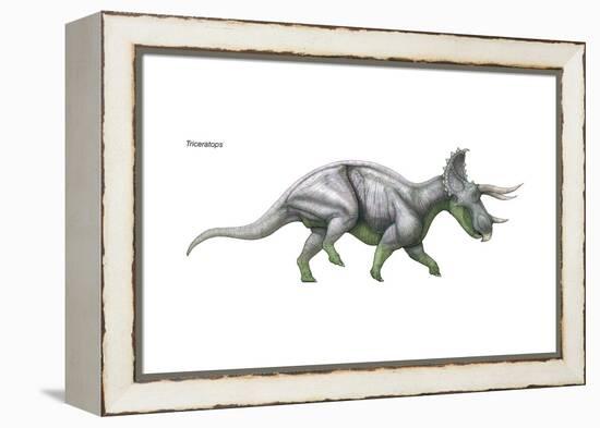 Dinosaur-Encyclopaedia Britannica-Framed Stretched Canvas