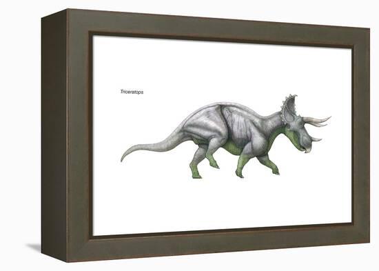 Dinosaur-Encyclopaedia Britannica-Framed Stretched Canvas