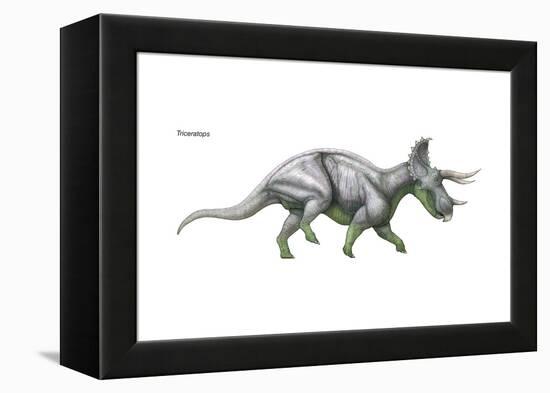 Dinosaur-Encyclopaedia Britannica-Framed Stretched Canvas